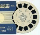 Sunken Gardens, St Petersburg, Florida U.S.A. - View-Master Printed Reel - vintage - (REL-367) Hot on Sale