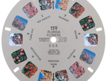 Florida - Flowers - U.S.A. - View-Master Single Reel - 1955 - vintage - 159 Sale