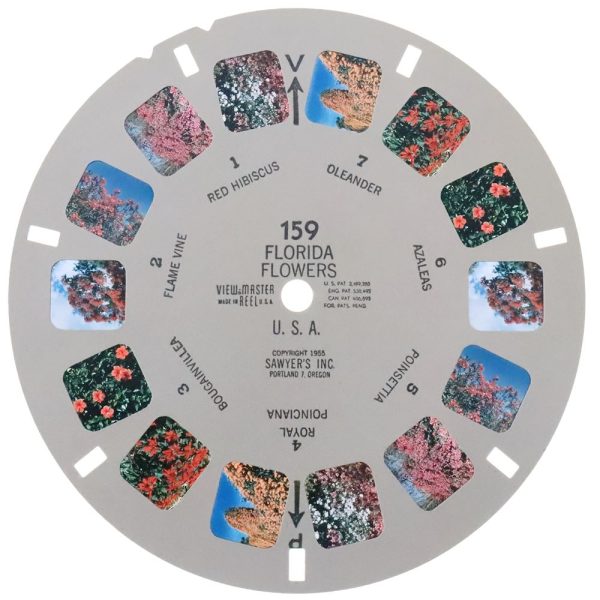 Florida - Flowers - U.S.A. - View-Master Single Reel - 1955 - vintage - 159 Sale