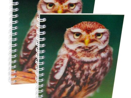 LITTLE OWL - Two (2) Notebooks with 3D Lenticular Covers - Unlined Pages - NEW Hot on Sale