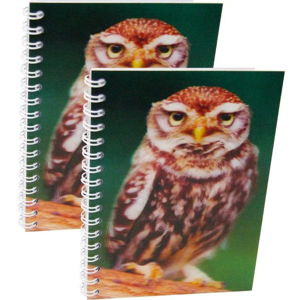 LITTLE OWL - Two (2) Notebooks with 3D Lenticular Covers - Unlined Pages - NEW Hot on Sale