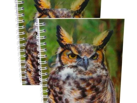 GREAT HORNED OWL - Two (2) Notebooks with 3D Lenticular Covers - Unlined Pages - NEW Fashion