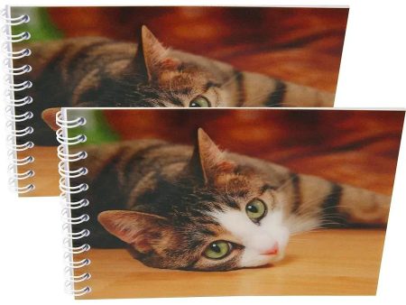 CAT - Two (2) Notebooks with 3D Lenticular Covers - Unlined Pages - NEW Online