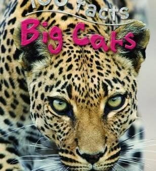 100 facts - Big Cats Sale