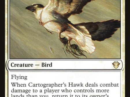 Cartographer s Hawk [Commander 2020] Online