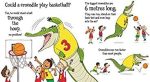 Could a Crocodile Play Basketball? Hot on Sale