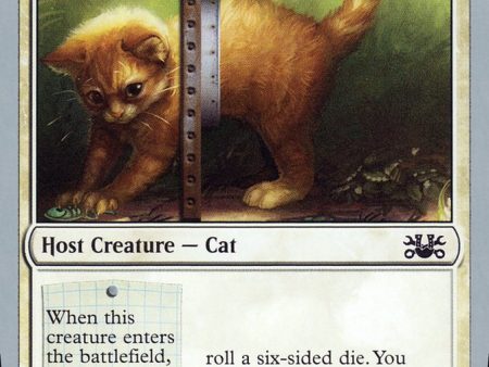 Adorable Kitten [Unsanctioned] Hot on Sale