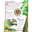 100 facts - Rainforests Supply