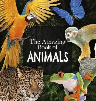 The Amazing Book of Animals Online Sale