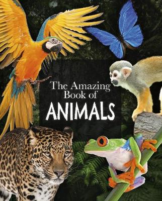 The Amazing Book of Animals Online Sale